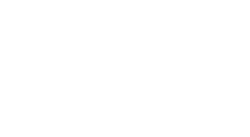 Synoptek Logo White (S)